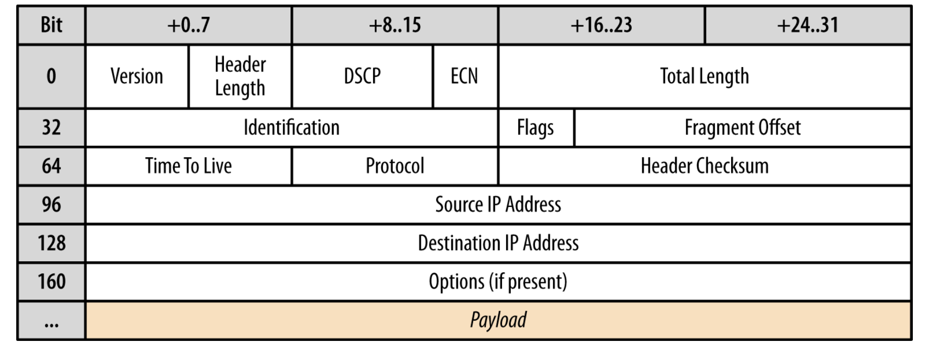 IPv4 header (20 bytes)