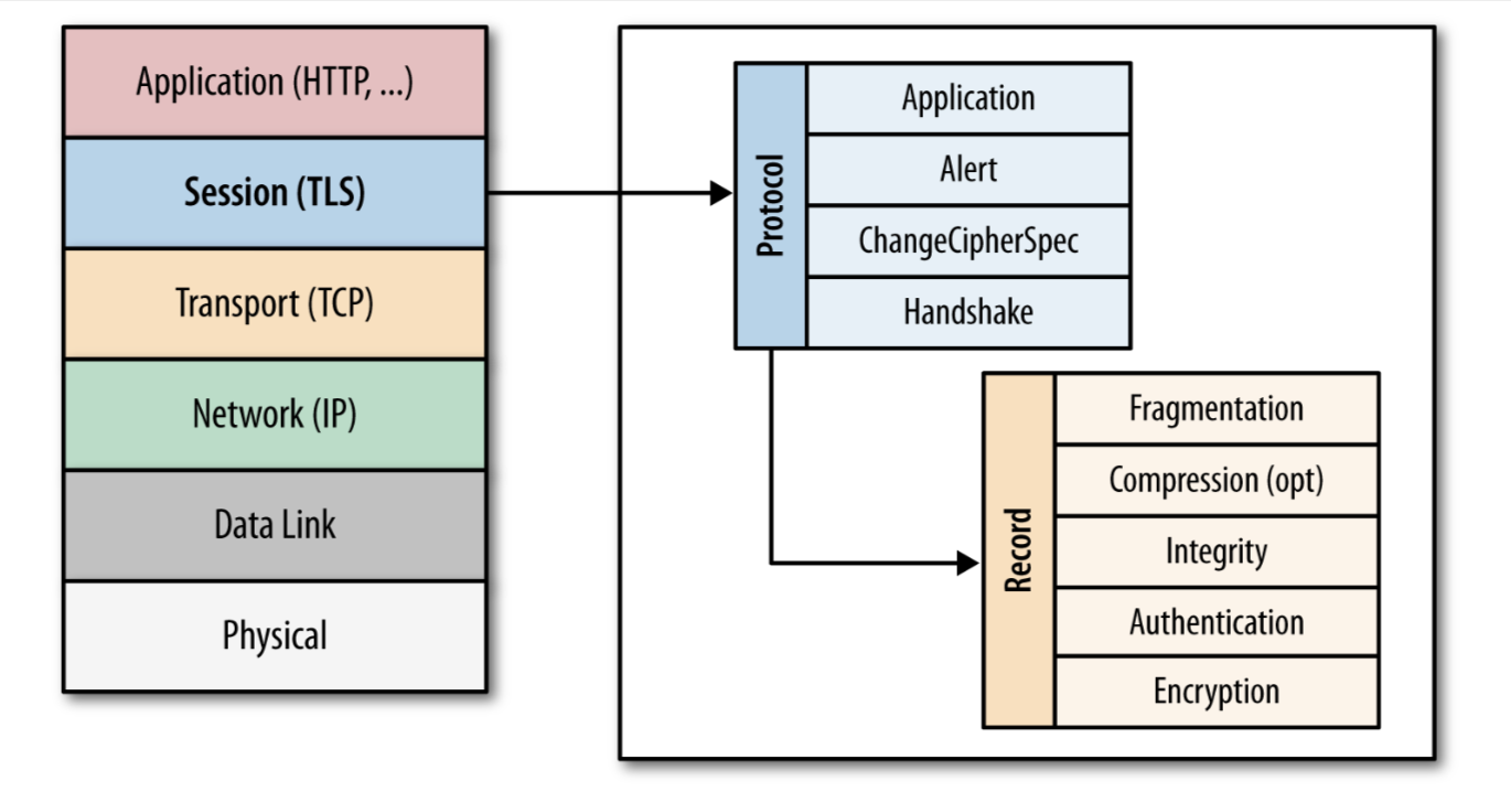 Transport Layer Security (TLS)