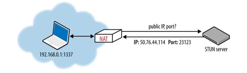 STUN query for public IP and port